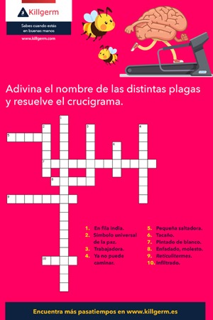 Sopa-de-letras
