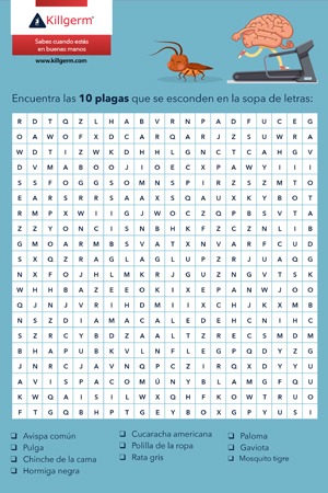 Sopa-de-letras